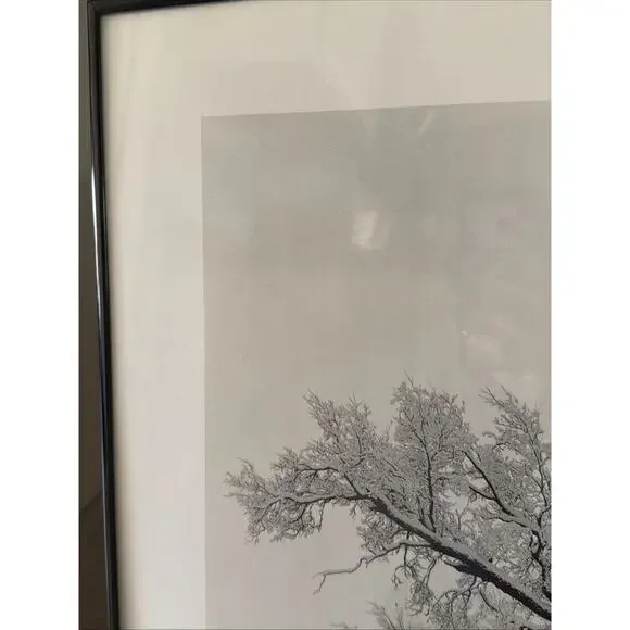 Ansel Adams “Oak Tree, Snowstorm” Yosemite National Park 1984 – Large Print